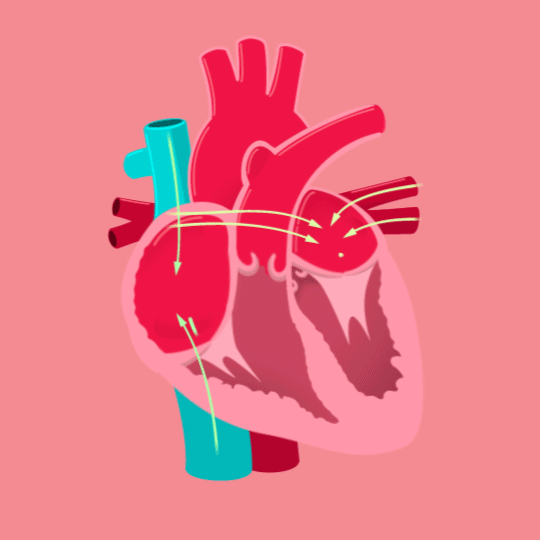 Know your heart (1)